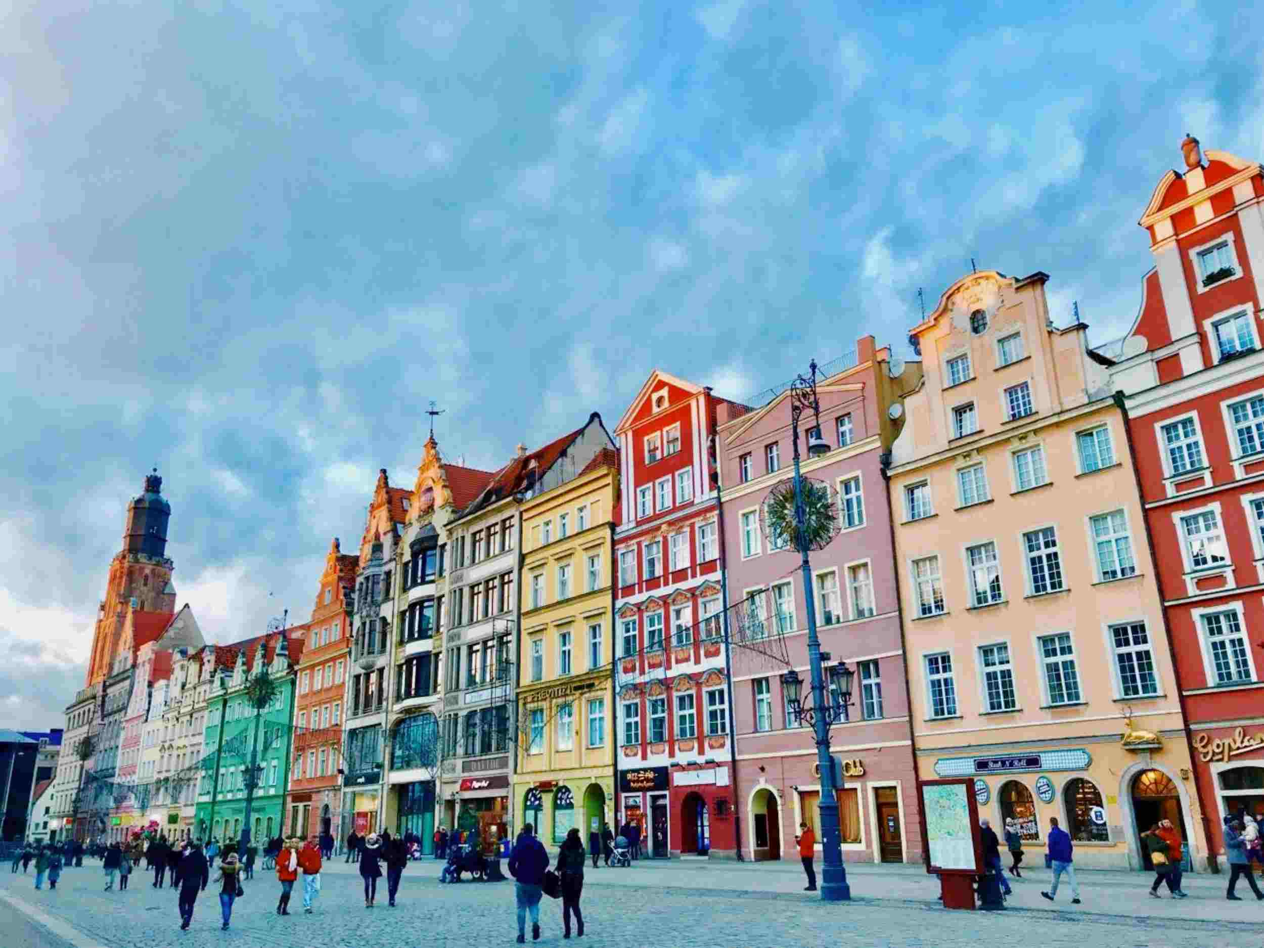 Zielona szkoła w wielkim mieście
